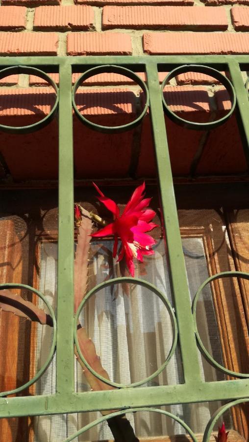 Lo De Su Acomodação com café da manhã Salta Exterior foto